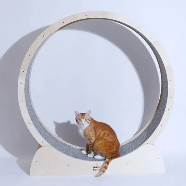 Roue d'exercice chat interactif