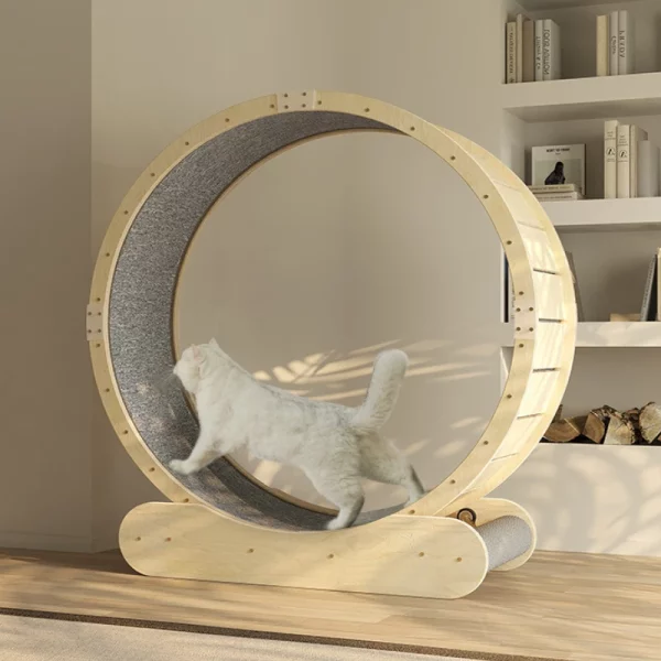 Roue de Course Silencieuse pour Chat