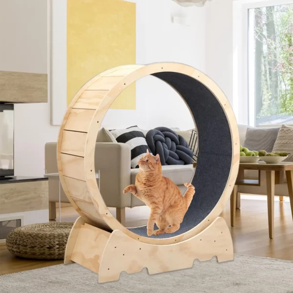 Roue d'Exercice en bois Chat