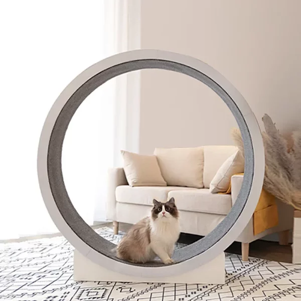 Roue à Chat Grande Taille