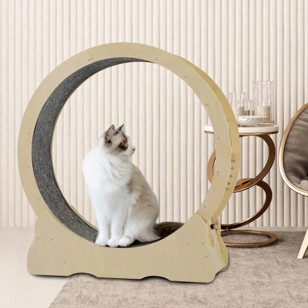 Roue à Chat circulaire Interactive