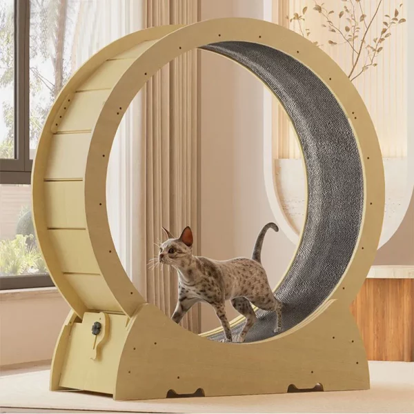 Roue à Chat Exercice Pro