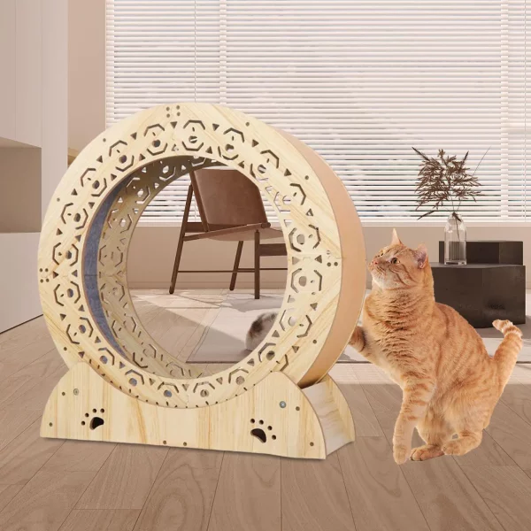 Roue Exercice Chat avec moquette