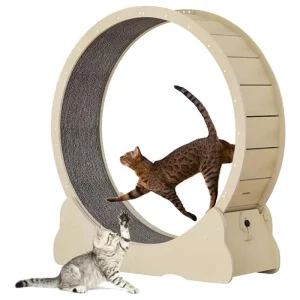 Roue d'exercice et grattoir pour chat