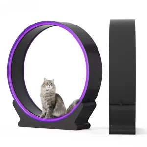 Roue Fitness Chat gymnastique Silencieuse