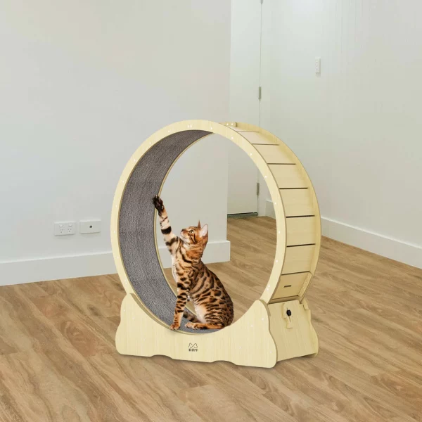 Roue silencieuse d'exercice pour chat