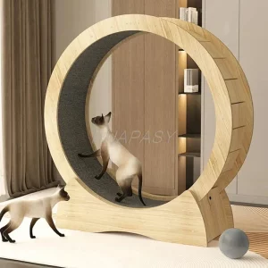 Roue d'exercice pour chat silencieuse