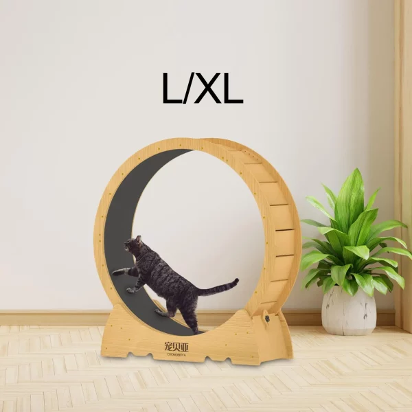 Roue d'exercice pour chat en bois