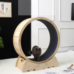 Roue à Chat Bois Naturel