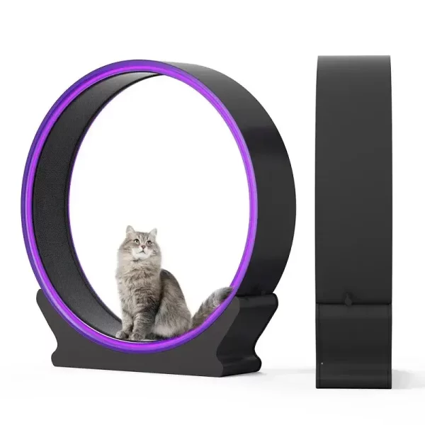 Roue de Gymnastique Intelligente pour Chat