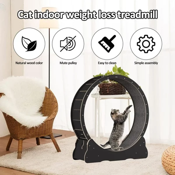 Roue Chat Exercice Silencieuse