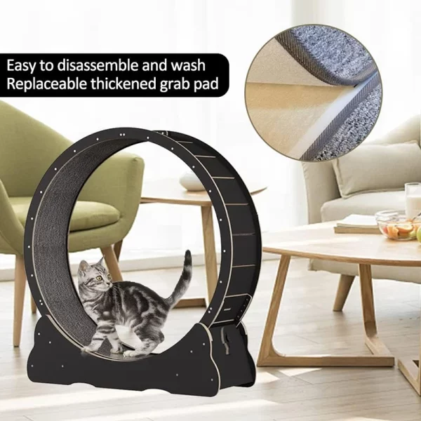 Roue Chat Exercice Silencieuse