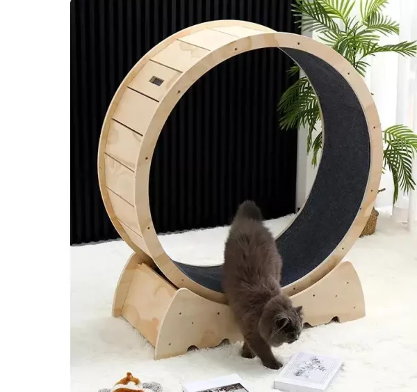 Roue d'exercice roulant pour chat