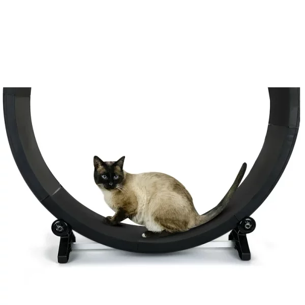 Roue à Chat sport Silencieuse