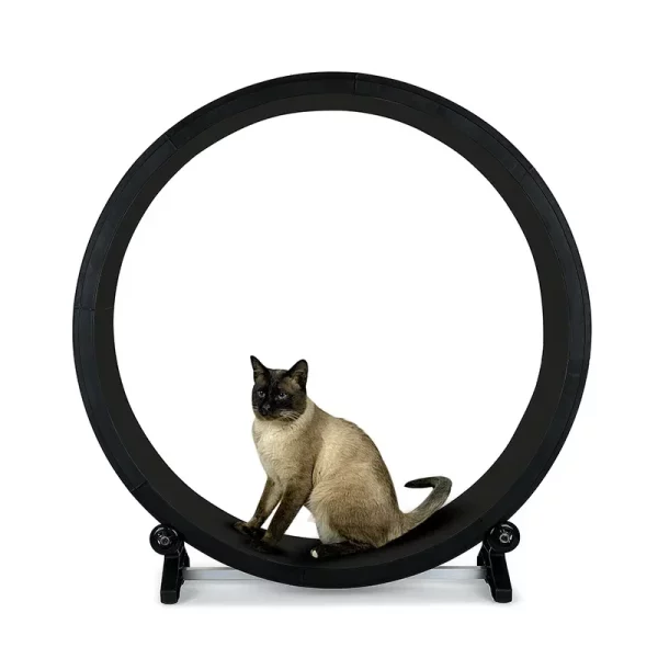 Roue à Chat sport Silencieuse